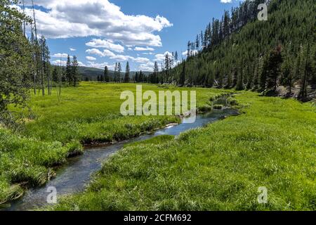 Obsidian Creek dans le parc national de Yellowstone Banque D'Images