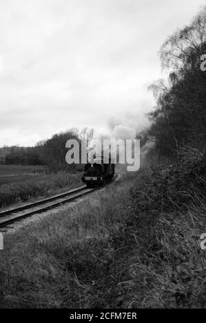 « Vulcan » et deux fourgonnettes couvertes sur la branche de Springwell. Banque D'Images