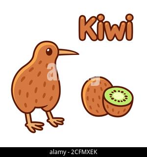 Joli dessin d'oiseau kiwi et de fruit. Illustration de clip art vectoriel isolée. Illustration de Vecteur