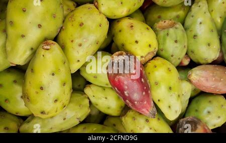 Les fruits de cactus à la poire Prickly frais verts se rapprochent peu à peu sur un stand traditionnel du marché des légumes à Houston, Texas, États-Unis. Banque D'Images