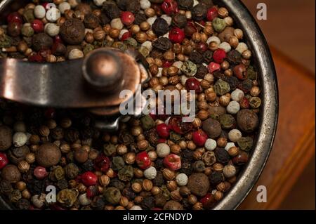 Photo mix de poivrons dans un moulin à main gros plan Banque D'Images