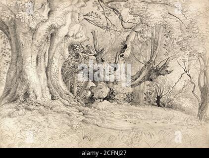 Palmer Samuel - Ancient Trees Lullingstone Park - British School - 19e siècle Banque D'Images