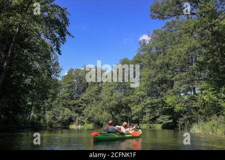 Excursion en canoë-kayak sur la rivière Krutynia à Masuria, dans le nord-est Pologne Banque D'Images