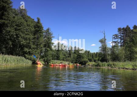 Excursion en canoë-kayak sur la rivière Krutynia à Masuria, dans le nord-est Pologne Banque D'Images