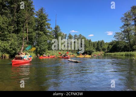 Excursion en canoë-kayak sur la rivière Krutynia à Masuria, dans le nord-est Pologne Banque D'Images