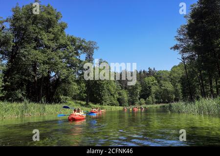 Excursion en canoë-kayak sur la rivière Krutynia à Masuria, dans le nord-est Pologne Banque D'Images