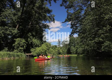 Excursion en canoë-kayak sur la rivière Krutynia à Masuria, dans le nord-est Pologne Banque D'Images