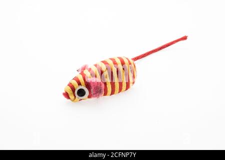 Un jouet de chat qui ressemble à une souris stripey, photographié isolé sur un fond blanc. Banque D'Images