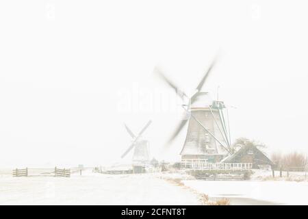 Pays-Bas, Aarlanderveen, moulins à vent dans la neige. Hiver. Touche Haut. Banque D'Images