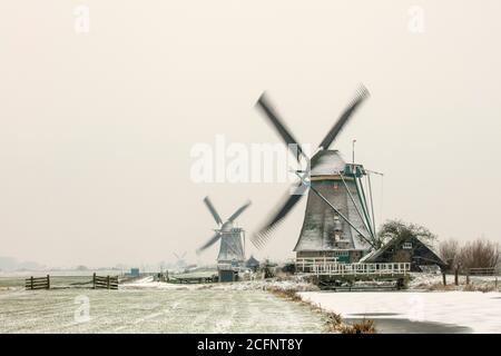 Pays-Bas, Aarlanderveen, moulins à vent dans la neige. Hiver. Banque D'Images