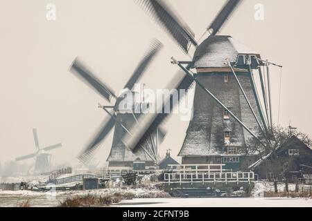 Pays-Bas, Aarlanderveen, moulins à vent dans la neige. Hiver. Banque D'Images