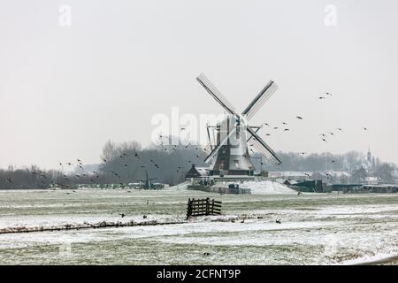 Pays-Bas, Aarlanderveen, Moulin à vent dans la neige. Hiver. Banque D'Images
