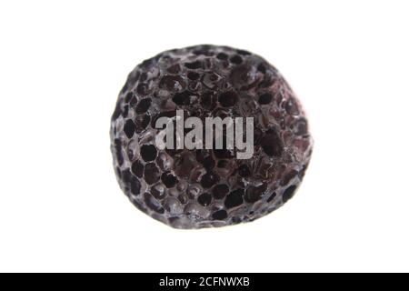 petit minerai de magma noir (semblable à une météorite) isolé sur fond blanc Banque D'Images