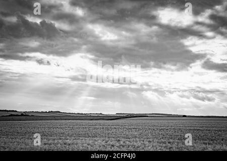 West Illsley, Berkshire, Royaume-Uni. 6 septembre 2020. Vue depuis la randonnée à travers le ridgeway près de West Illsley. Credit: Sidney Bruere/Alay Live News Banque D'Images