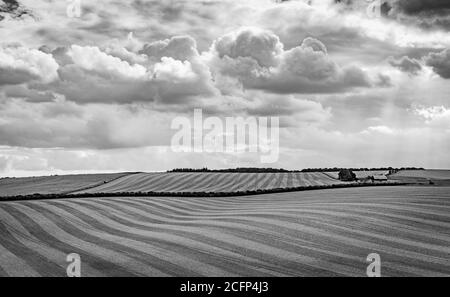 West Illsley, Berkshire, Royaume-Uni. 6 septembre 2020. Vue depuis la randonnée à travers le ridgeway près de West Illsley. Credit: Sidney Bruere/Alay Live News Banque D'Images