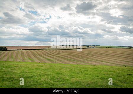 West Illsley, Berkshire, Royaume-Uni. 6 septembre 2020. Vue depuis la randonnée à travers le ridgeway près de West Illsley. Credit: Sidney Bruere/Alay Live News Banque D'Images