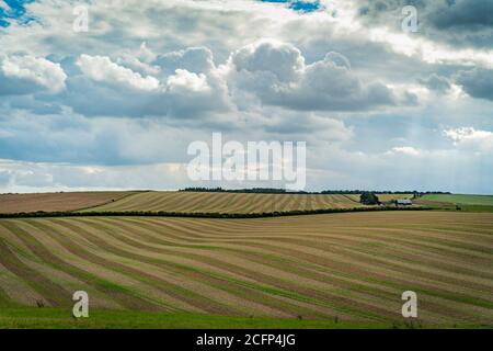 West Illsley, Berkshire, Royaume-Uni. 6 septembre 2020. Vue depuis la randonnée à travers le ridgeway près de West Illsley. Credit: Sidney Bruere/Alay Live News Banque D'Images