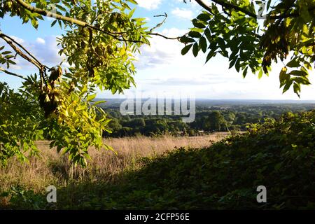 Vue depuis carter's Hill près de Sevenoaks, vers le sud, à la fin de l'été Banque D'Images