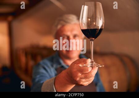 Main d'un viticulteur mâle tenant un verre de vin rouge Banque D'Images