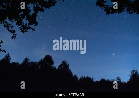 le ciel nocturne est encadré par des silhouettes sombres d'arbres. Ciel nocturne avec étoiles et laiteux Banque D'Images