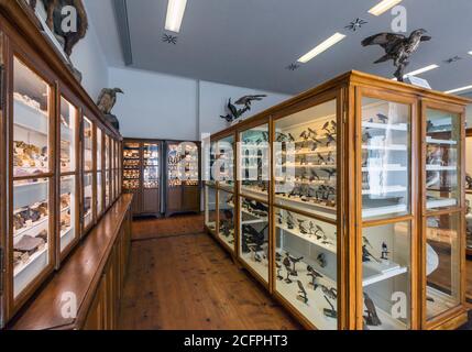 Exposition de musée naturel au monastère d'Admont, Autriche Banque D'Images