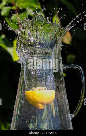 Une véritable éclaboussure d'eau dans un pichet en verre avec demi-citron jaune à l'intérieur du jardin. Mouvement de gel de belle forme d'eau. Banque D'Images