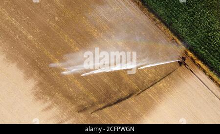 Une arroseur irrigue le maïs par jour chaud et sec En été sur la campagne aux pays-Bas Banque D'Images