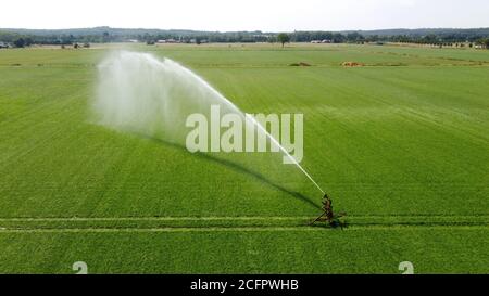 Un arroseur irrigue un pré sur un sec chaud Journée en été à la campagne aux pays-Bas Banque D'Images