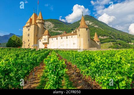 Château d'Aigle dans le canton de Vaud, Suisse. Le château d'Aigle surplombe les vignobles en terrasse environnants et les Alpes suisses. Rangées de vignes en croissance pendant Banque D'Images