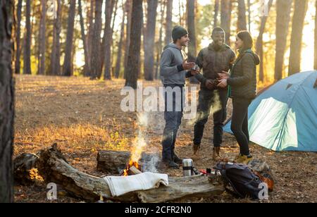 Joyeux amis randonneurs campant dans la forêt de pins Banque D'Images