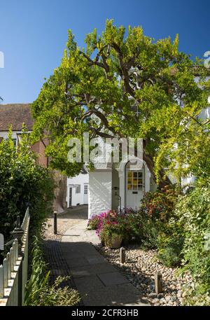 Saint Mary's House sur place de l'Église dans la région de Rye, East Sussex, Angleterre Banque D'Images