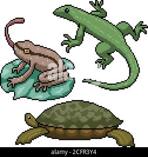 pixel art set isolé petit reptile amphibien Illustration de Vecteur