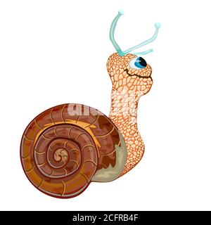 Escargot isolé sur fond blanc.Happy mignon personnage dessin animé escargot avec Son corps de coque de maison.petit jardin escargot vue latérale.stock illustration vectorielle Illustration de Vecteur