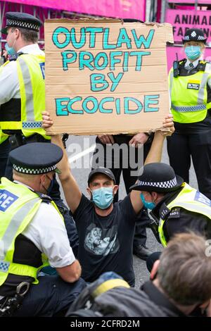 Manifestant avec signe à l'aire de circulation de la rébellion animale, à l'extérieur du ministère de la Santé et des soins sociaux, Londres, 3 septembre 2020 Banque D'Images