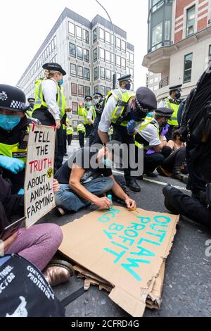 Un manifestant écrit un écriteau sur le bloc de route de la rébellion animale, à l'extérieur du ministère de la Santé et des soins sociaux, Londres, le 3 septembre 2020 Banque D'Images