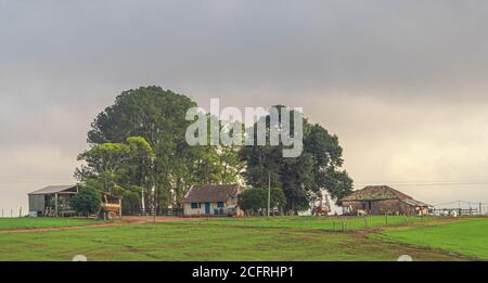 Petite propriété rurale. Paysage rural. Propriété rustique pour la pratique de l'agriculture et de l'élevage. Sud du Brésil. Champs de la Pa latino-américaine Banque D'Images