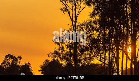 Silhouette de coucher de soleil dans le sud du Brésil. Le contraste des couleurs du coucher de soleil se produit lorsque les rayons atteignent l'atmosphère avec une plus grande portée. Colo à ondes plus longues Banque D'Images