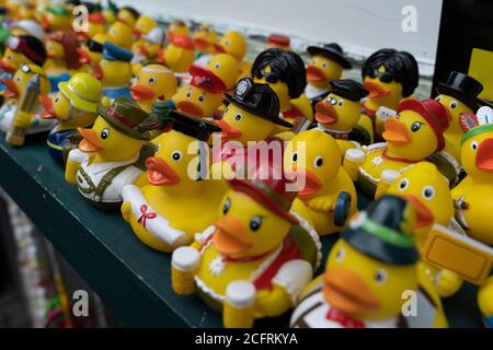 Un groupe avec de nombreuses figurines différentes canards en caoutchouc jouets de bain sur une étagère Banque D'Images