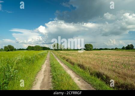 Longue route de campagne à travers les champs et les nuages sur le ciel bleu Banque D'Images