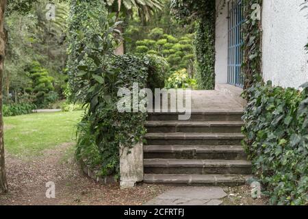 entrée de maison en pierre, entourée par la nature Banque D'Images