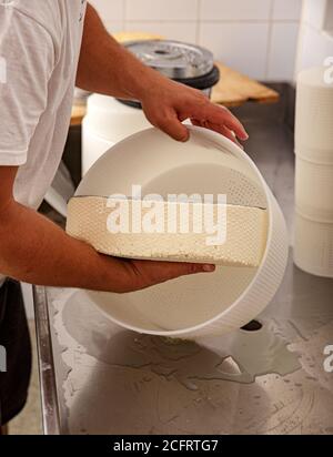 Portrait d'un homme faisant le fromage en les moules en plastique à la petite ferme Banque D'Images