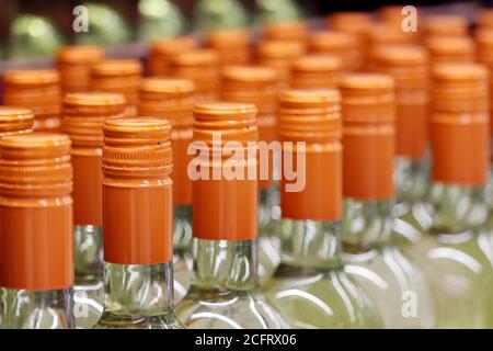 Bouteilles de vin dans une rangée, foyer sélectif. Magasin de spiritueux, concept de production de vin blanc Banque D'Images