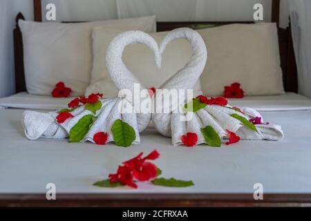 Blanc deux serviettes swans et fleurs rouges et feuilles vertes sur le lit dans une chambre d'hôtel Banque D'Images