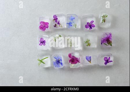 Cubes de glace floraux sur fond gris. Fleurs comestibles congelées dans de la glace. Horizontale avec espace pour le texte. Banque D'Images