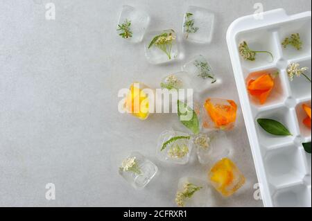 Cubes de glace floraux sur fond gris avec moule à glace. Fleurs comestibles congelées dans des glaçons. Horizontale avec espace pour le texte. Banque D'Images