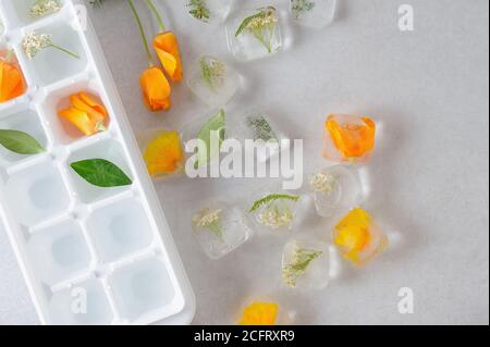 Cubes de glace floraux sur fond gris avec moule à glace. Fleurs comestibles congelées dans des glaçons. Horizontale avec espace pour le texte. Banque D'Images