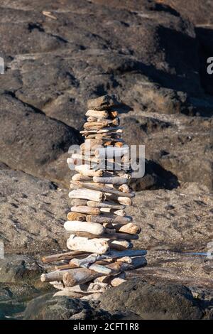 Cairn comme pyramide faite de bois de grève sur une plage de l'Oregon, verticale Banque D'Images
