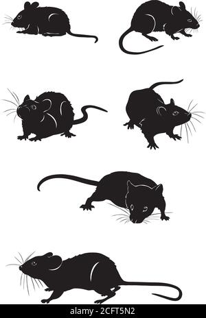 Souris, rat, diverses poses, mouvements et angles de figures, noir, silhouette, ensemble, vecteur, illustration Illustration de Vecteur