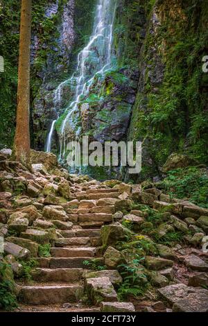 La cascade de Burgbach (en allemand : Burgbachwasserfall) située à proximité de Bad Rippoldsau-Schapbach dans la Forêt Noire a une chute de 15 mètres et un tota Banque D'Images