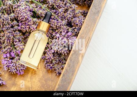 Lavande sérum, huile essentielle dans un flacon compte-gouttes en verre sur des fleurs de lavande fraîches. Lavande cosmétique. Produits de beauté spa. Déposer à plat les herbes d'apothécaire Banque D'Images